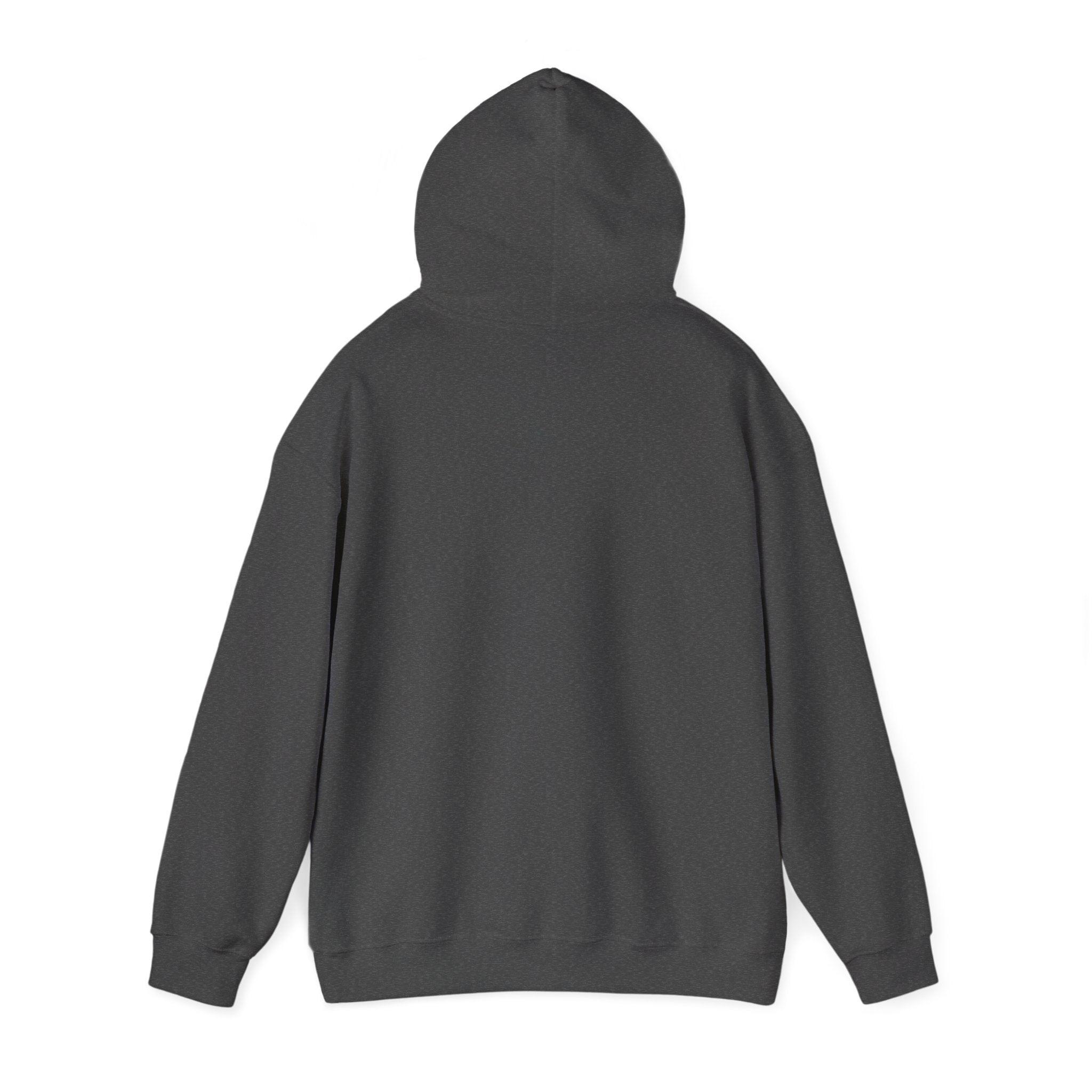Hoodie — "Villain by Design" Crown & Rose Graphic Pullover
