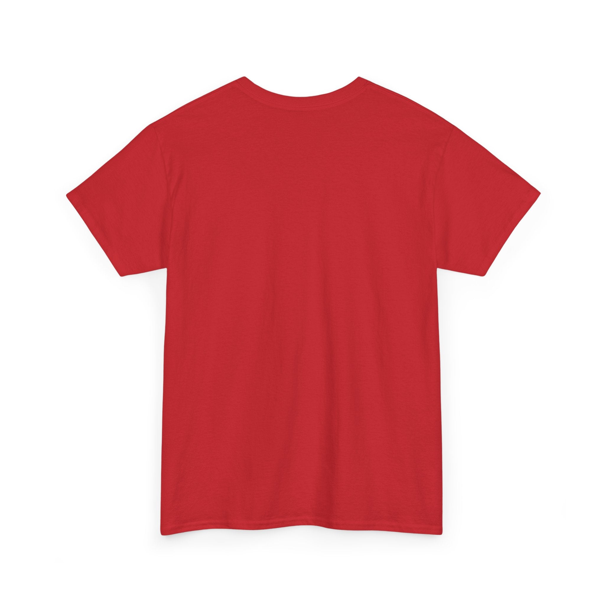 Freedom to Read T-Shirt — Vintage Book Lover Tee (Banned Books Awareness)