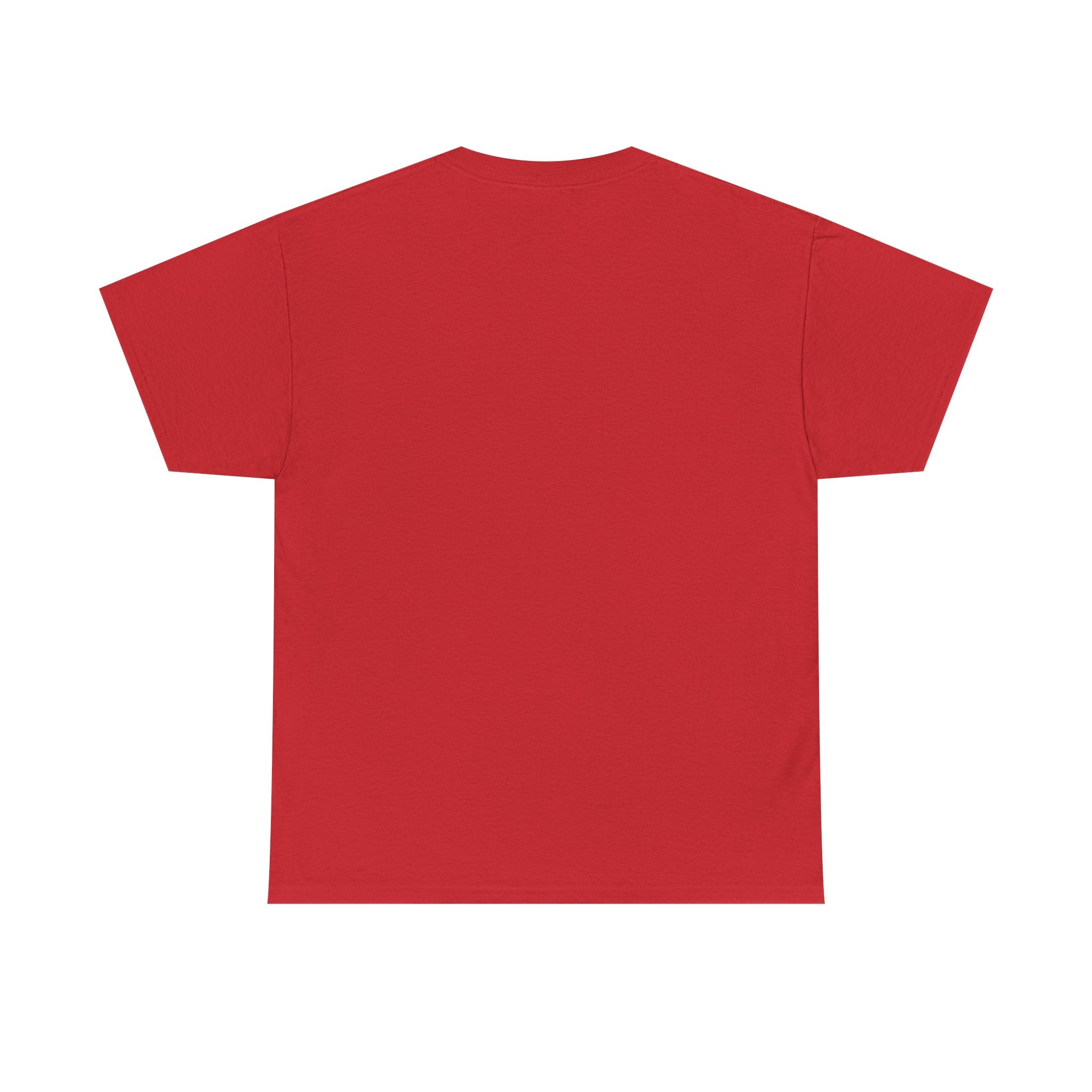Freedom to Read T-Shirt — Vintage Book Lover Tee (Banned Books Awareness)